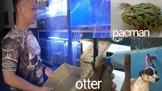 KEGIATAN RUTIN PAGI HARI REPOTNYA NGURUSIN HEWAN PELIHARAAN