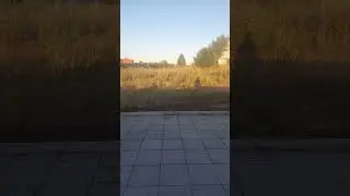Первый шаг к РАЗВОДУ!!!! #рыбалка #мир #природа #топ #люди