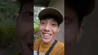 KAGET! RIBUAN IKAN MUNCUL TIBA TIBA DI KOLOM JEMBATAN