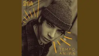 Corvi