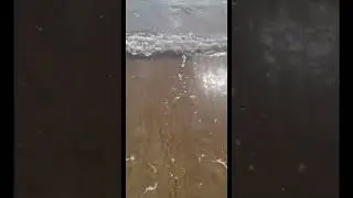 Waves! 