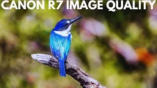 Canon R7 📸 Sample Photography - Image Quality