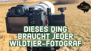 Jeder Wildtier-Fotograf braucht so ein Teil - ProAim Folding Gimbal Head Review