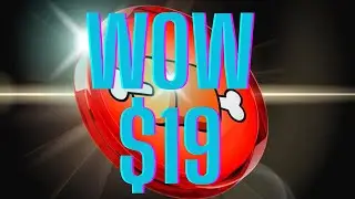 BONE SHIBASWAP TOKEN HITS $19: SHIBARIUM NEWS