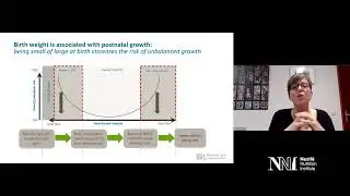 Nutritional needs during the first 1000 days to support growth during infancy and toddlerhood.