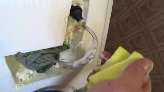 Ремонт холодильника  BEKO с утечкой в запенке.