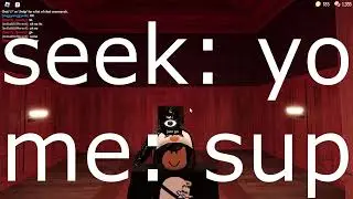 Playing With Randoms Be Like... | Doors (Roblox)