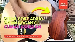 REKOMENDASI GITAR 2021 !! Gitar Cort AD810-OP Backside Mahogany & Top Siprus Series (650rb an)