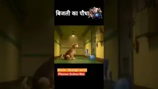 बिजली का पौधा #explainedinhindi