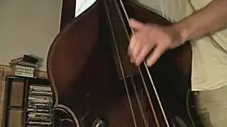 THE WILD BASS