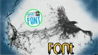 Resimdeki Yazı Fontunu Bulma | What The Font ( ANDROID )