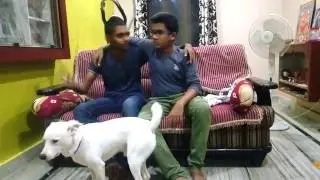 TOUCH MY BODY CHALLENGE WITH MY BRO!!!!(mavion)