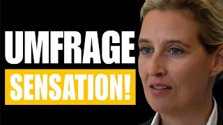 Bundeswahl: Riesiger AfD Höhenflug und Union sackt ab