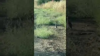 El paraíso de la caza menor