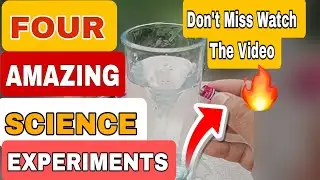 Science Experiments At Home | Amazing Experiments | Viral Experiments