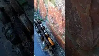 21 августа 2024 г.