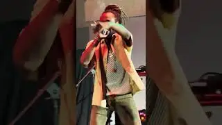 Jesse Royal - Lion Order- filmed by BR Lion Gainsburgh