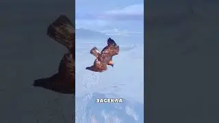 Казахский БЕРКУТ дал урок воришке 😤🦅😯