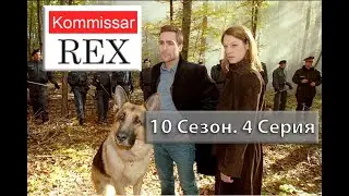 Kommissar Rex   10х04   E mail Von Der Mordering