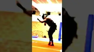 Ninja VS Predator.