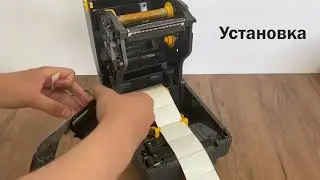 ZEBRA ZD220-T: калибровка и установка медиа