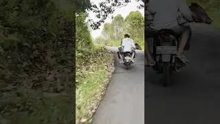 Кабан на скутере 