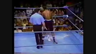 Marvin Hagler vs Doug Demmings