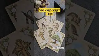 Это чудо уже на твоем пороге🍀