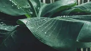 Relax with Music