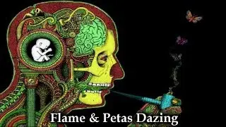 Flame & Petas - 