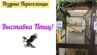 Выставка птиц/ Германия/ Поздние Переселенцы