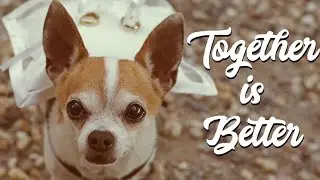 Together is better