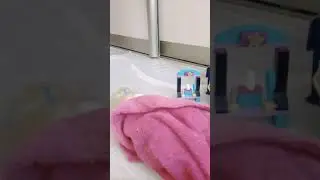 Короче говоря Коллекционер кукол