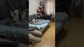 Диванные бойцы / ч.1 