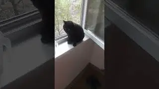 Доброе утро от #кота Буси 4#сентября.