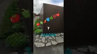 ПОМИДОРЫ ПЕРЦЫ у ЗАБОРА 🍅🫑🌶️🪣🌿💯❤️...