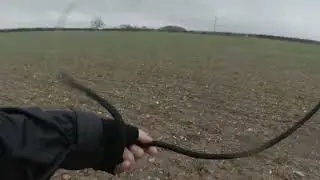 Hare hunted at Lexham // North Norfolk Harriers, 08/01/22