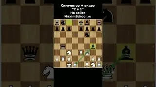 ЖЕРТВА ФЕРЗЯ В ГАМБИТЕ БЛЭКМАРА-ДИМЕРА