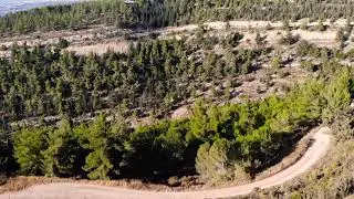 צילום רחפן פרדסים. DJI drone in Israel. Orchards