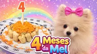 We made a cake to celebrate Mel's 4 months! 🎂🐶💖