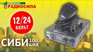 Review of the car radio SIBIshka 100