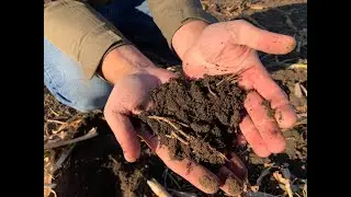 как получить доход 214 тыс  рублей с одного гектара поля