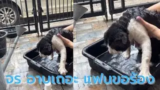 อาบน้ำเถอะ จร แฟนๆ ขอร้อง