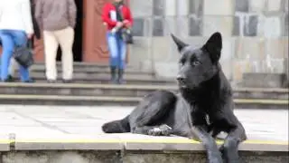 Um pequeno devaneio antes do trabalho... 