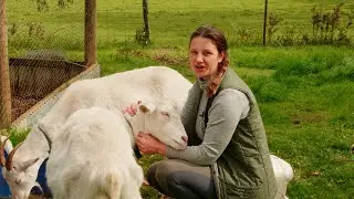 Around the farm and in my kitchen: the circle of life - Free Range Homestead Ep 77