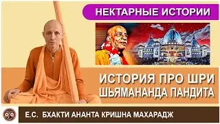 Нектарная история про Шри Шьямананда пандита