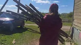 установили электропастух. у коз истерика.