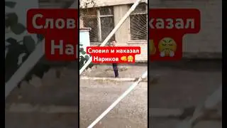 Словил и наказал местных нариков