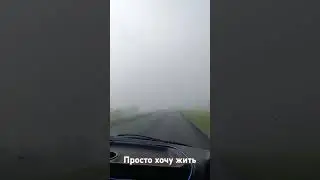 Просто хочу жить,,, #жизнь #юмор #блогер #прикол #смех #счастье #страстиунасти #семья #жиза #люблю