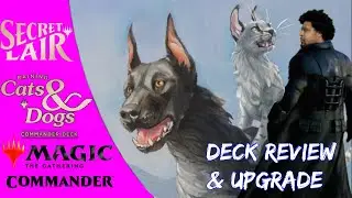 It's Raining Cats and Dogs Opening, Review, and Upgrade | Commander | Secret Lair
